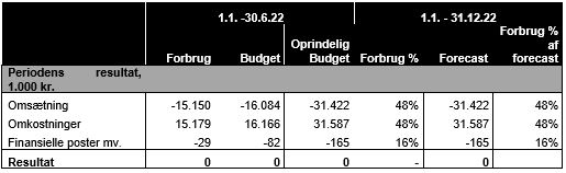 Skema der viser det forventede resultat